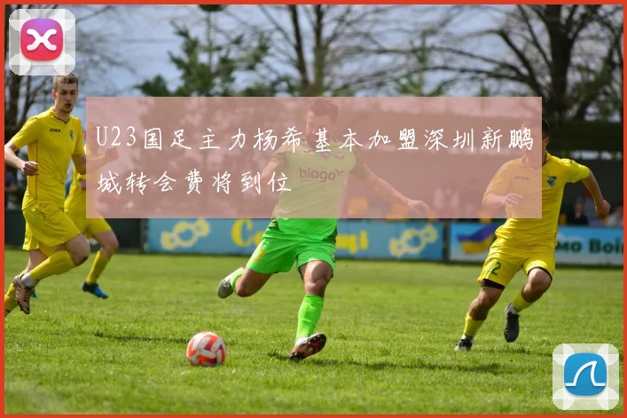 U23国足主力杨希基本加盟深圳新鹏城转会费将到位